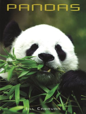 cover image of Pandas